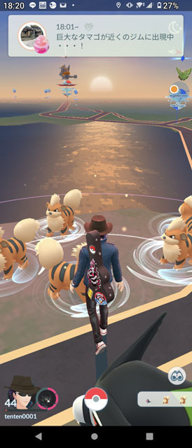 ポケモンGO.jpg