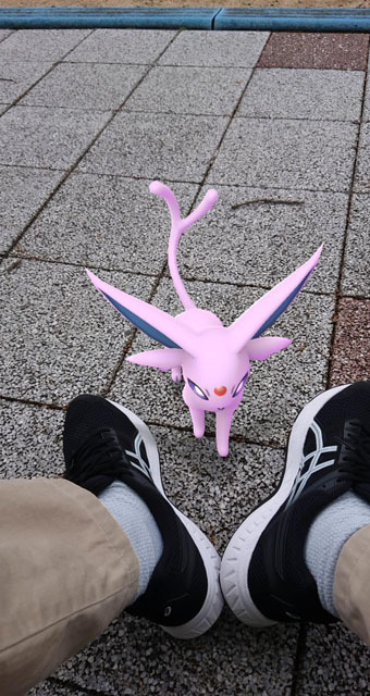 ポケモンGO (1).jpg