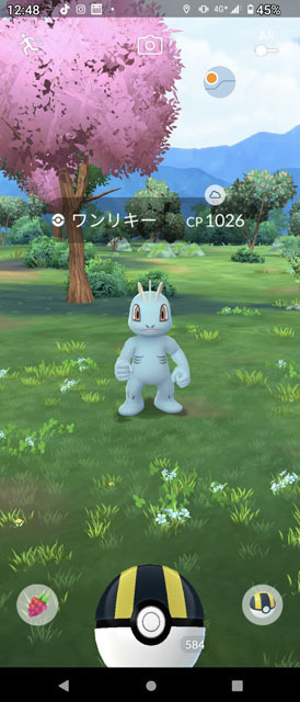 ポケモンGO (3).jpg