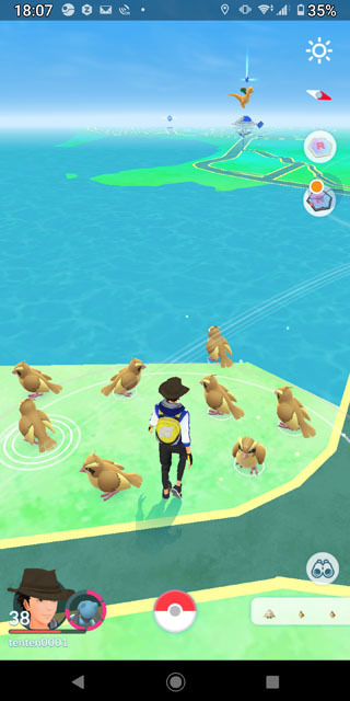 ポケモンGOポッポ.jpg