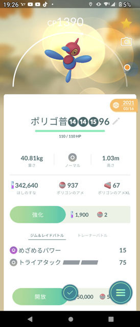 ポリゴンZ.jpg