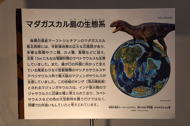 マダガスカル島の生態系.JPG