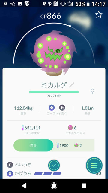 ミカルゲ 2.jpg