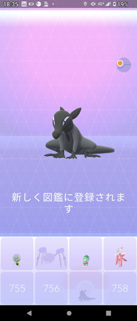 ヤトウモリ.jpg