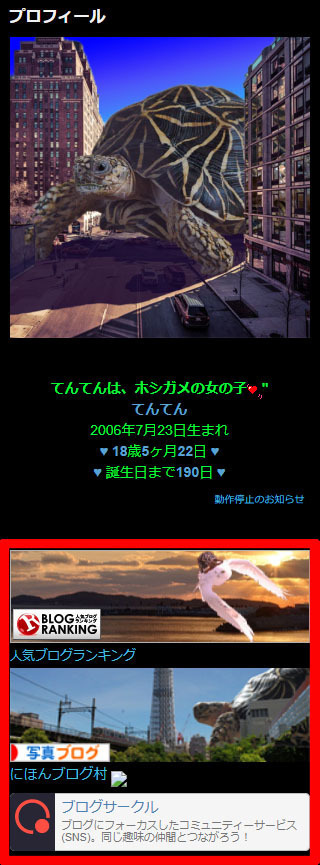ランキングバナー.jpg