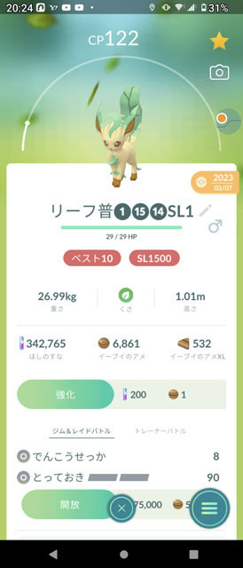 リーフィア.jpg
