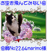 会員証-160.jpg