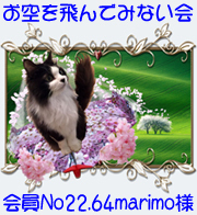会員証-180.jpg