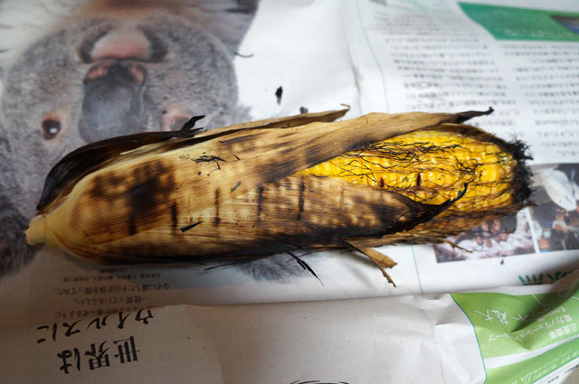 北海道　トウモロコシ (2).JPG