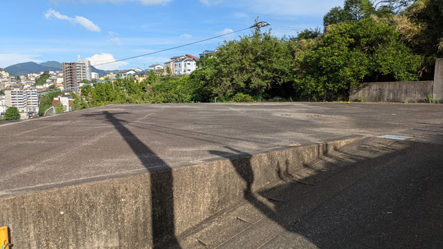 土地の草 (2).jpg