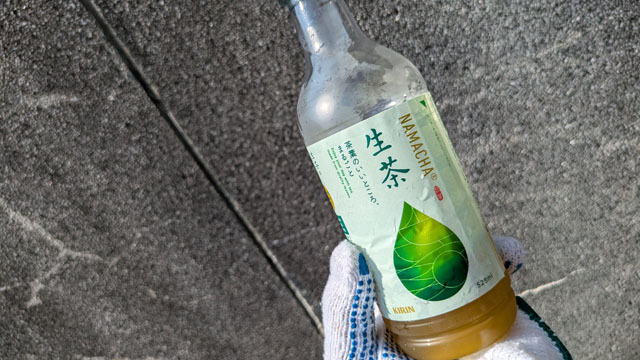 墓掃除 (3).jpg
