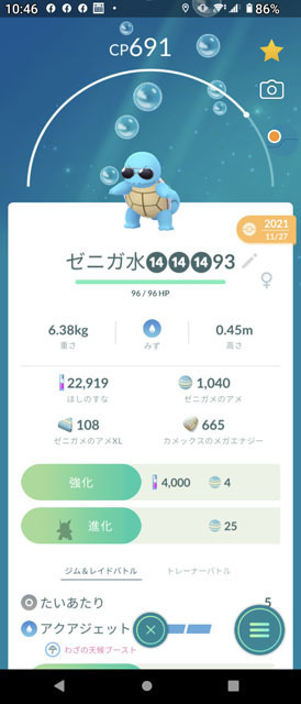 大いなるメガシンカ (1).jpg