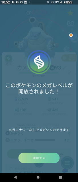 大いなるメガシンカ (4).jpg