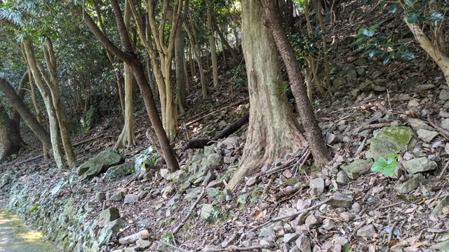 小ヶ倉水源池 (3).jpg