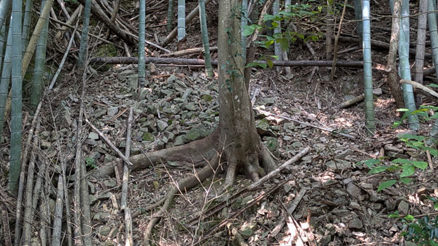 小ヶ倉水源池 (8).jpg
