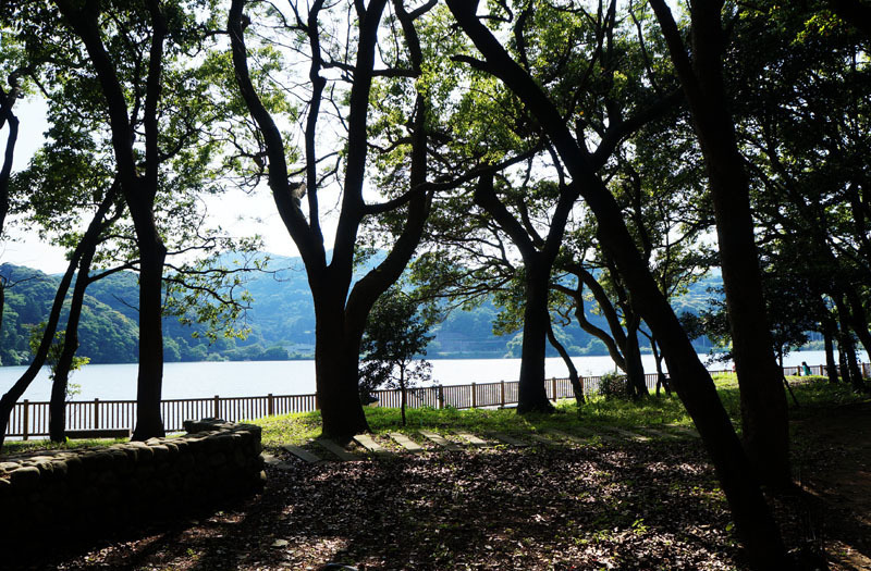川原大池公園 2.JPG