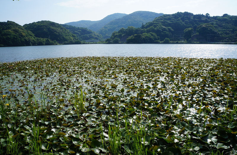 川原大池公園 5.JPG