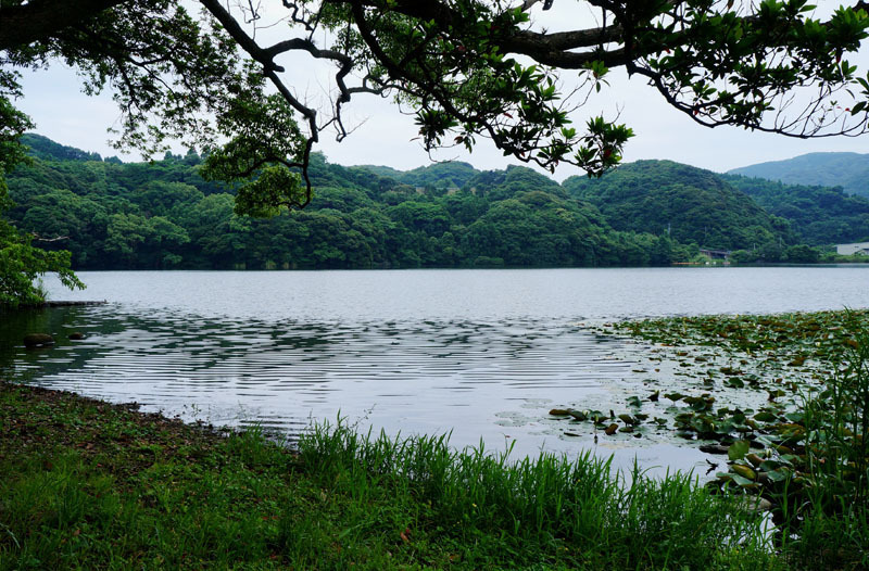 川原大池公園　2.JPG