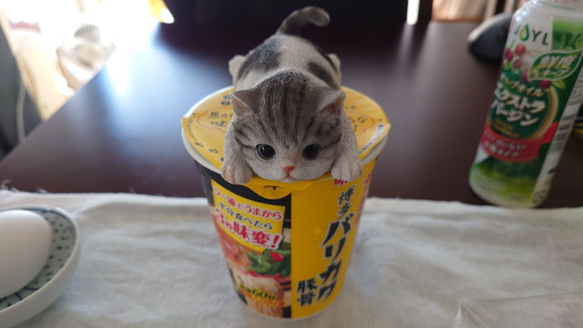 明星チャルメラ博多バリカタ豚骨 (2).JPG