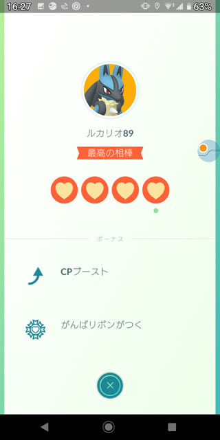 最高の相棒　ルカリオ (2).jpg