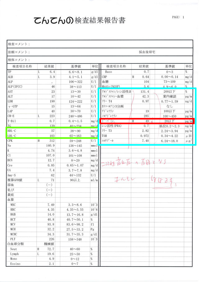 検査結果報告書.jpg