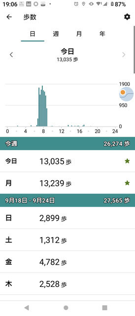 歩数.jpg