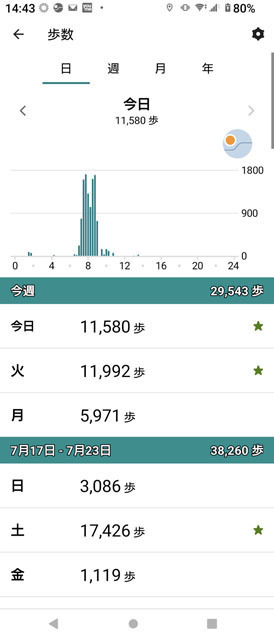 歩数.jpg