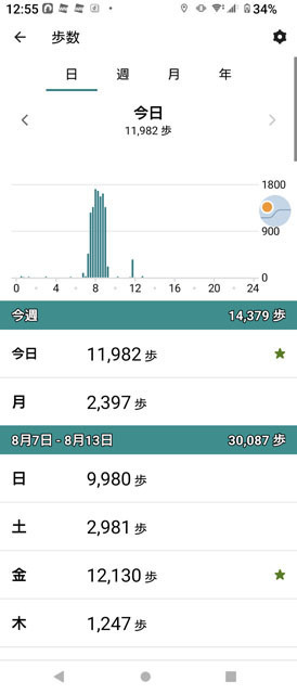 歩数.jpg