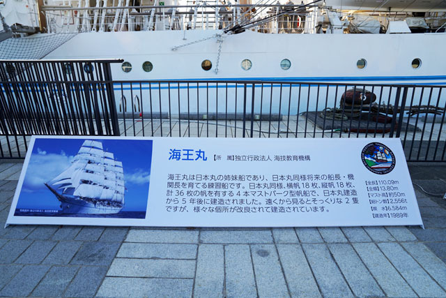 海王丸 (5).JPG