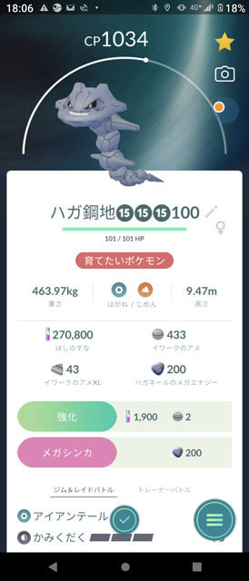 満点ハガネール.jpg