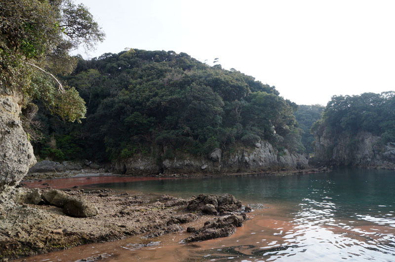 白浜海水浴場　13.JPG