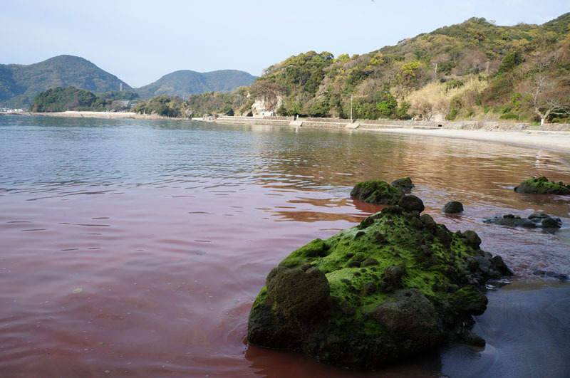白浜海水浴場　21.JPG