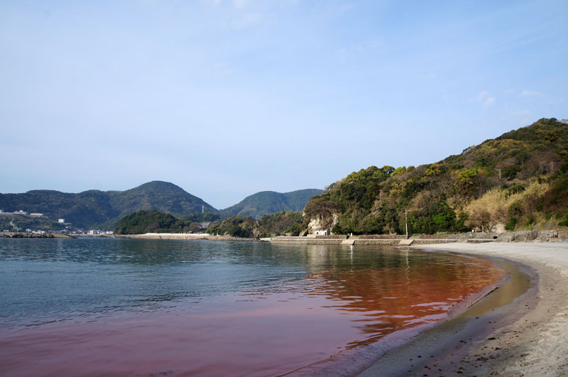白浜海水浴場　22.JPG