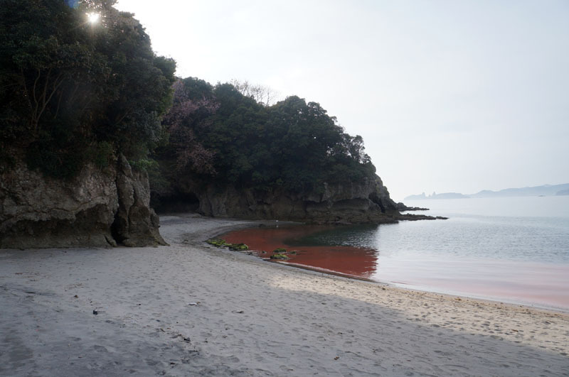 白浜海水浴場　8.JPG