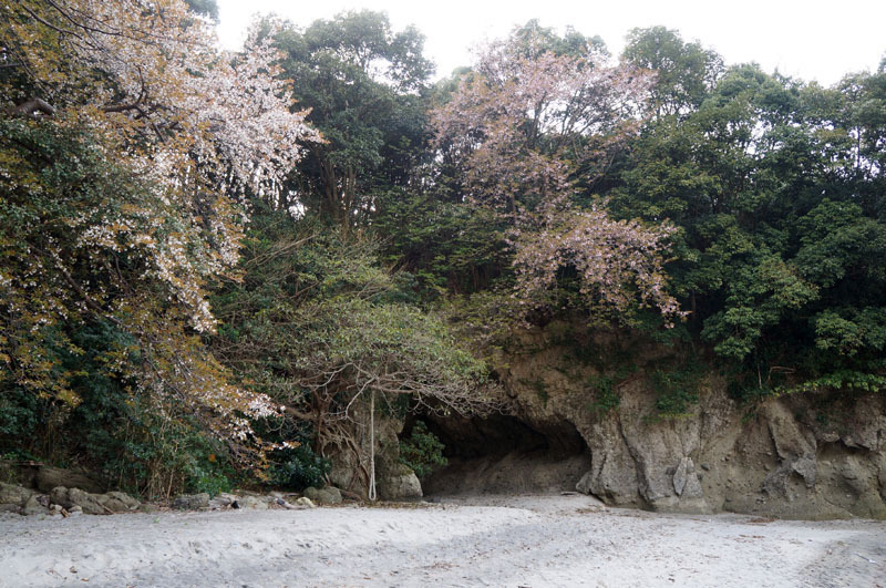 白浜海水浴場　9.JPG