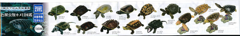 立体カプセル百科事典原色爬虫類カメ目図鑑 (6).jpg