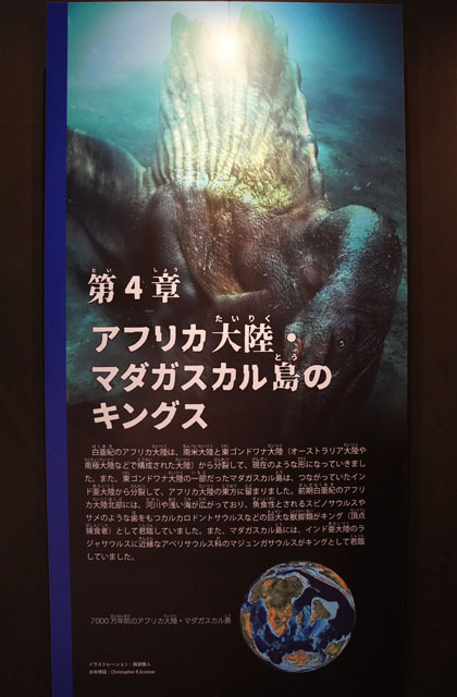 第4章 アフリカ大陸・マダガスカル島のキングス.JPG
