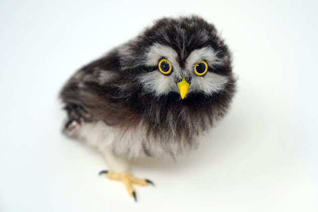 羊毛フェルトでコキンメフクロウを作る (11).JPG