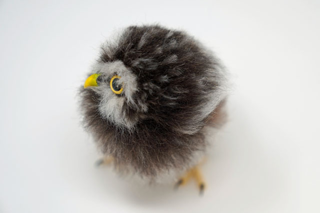 羊毛フェルトでコキンメフクロウを作る (12).JPG