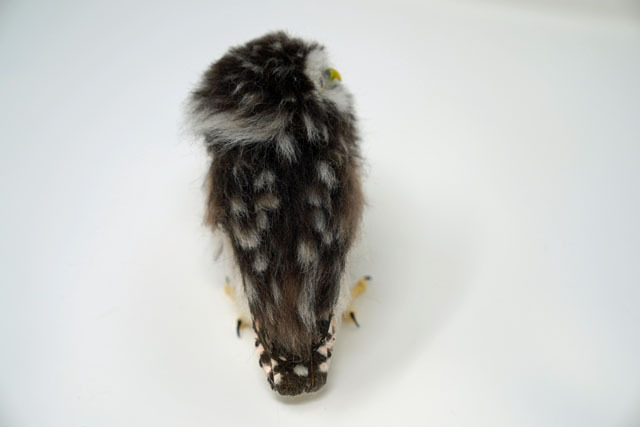 羊毛フェルトでコキンメフクロウを作る (14).JPG