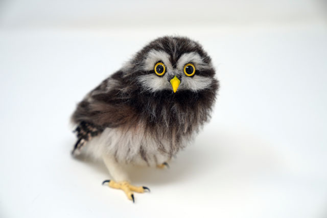 羊毛フェルトでコキンメフクロウを作る (16).JPG