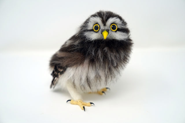 羊毛フェルトでコキンメフクロウを作る (2).JPG