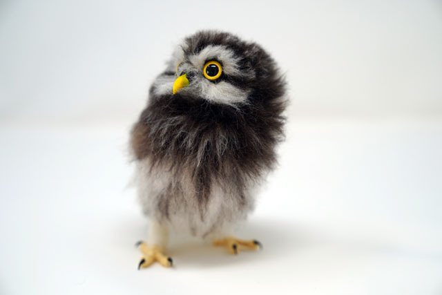 羊毛フェルトでコキンメフクロウを作る (4).JPG