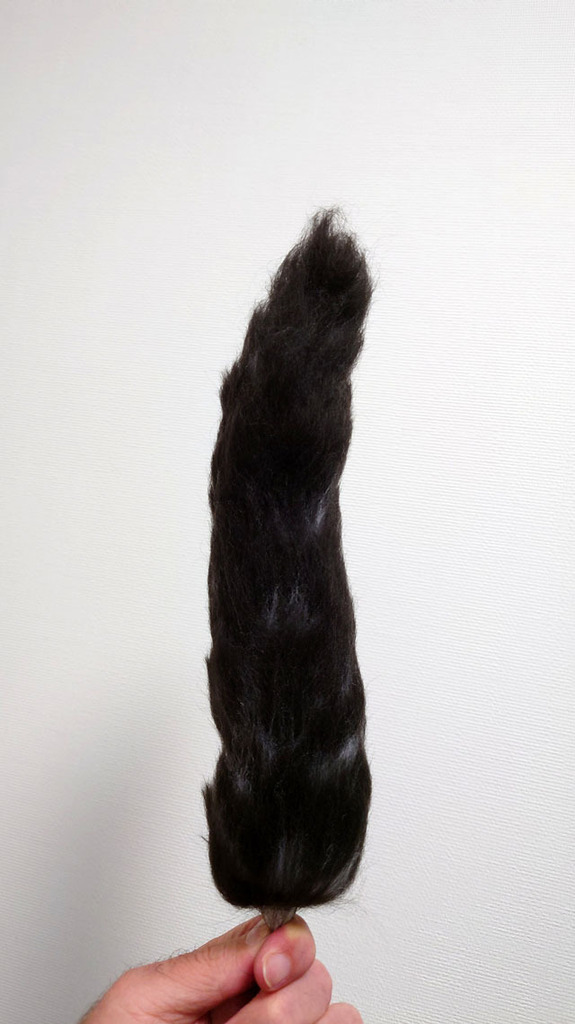 羊毛フェルトでラグドールを作る (18).JPG