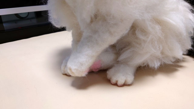 羊毛フェルトでラグドールを作る (2).JPG