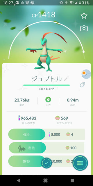 色違いジュプトル.jpg