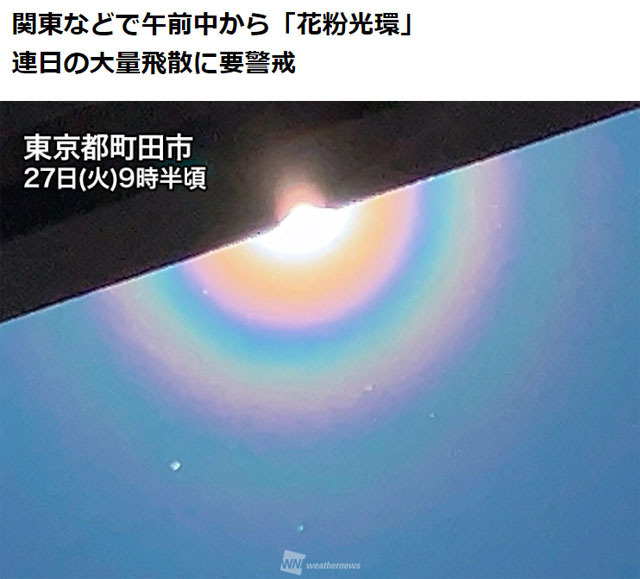 花粉光環.jpg