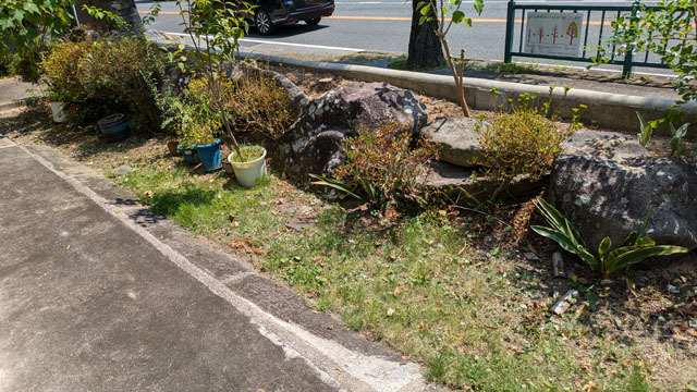 草むしり (1).jpg