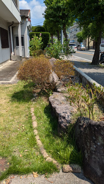 草むしり (2).jpg