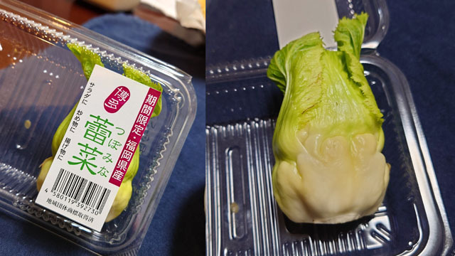 蕾菜 (1).JPG